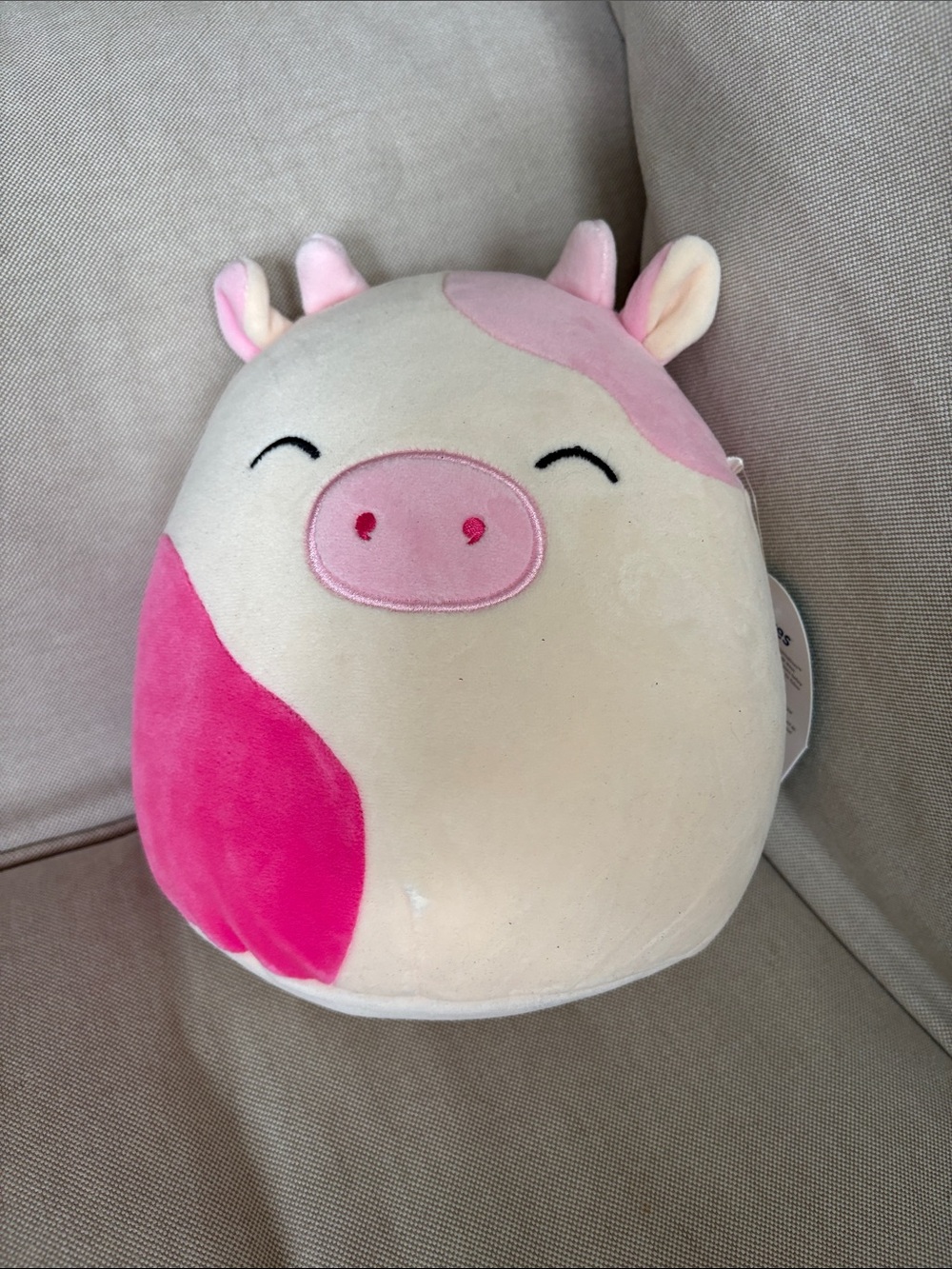Squishmallow pink cow Caedyn